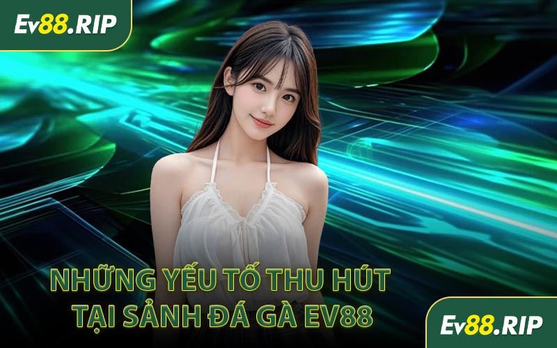 Những yếu tố thu hút tại sảnh đá gà EV88