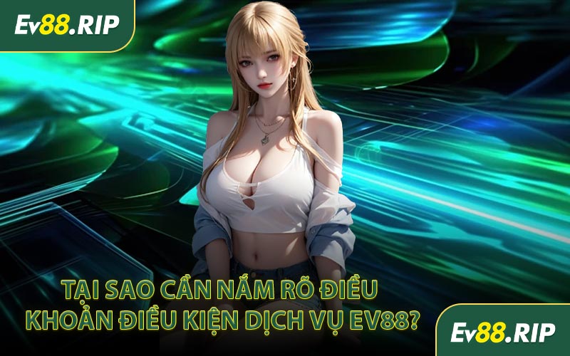 Tại sao cần nắm rõ điều khoản điều kiện dịch vụ EV88?