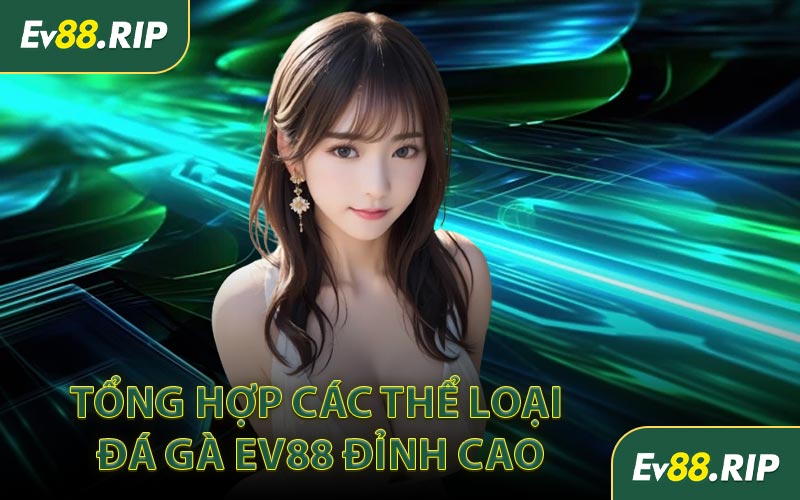 Tổng hợp các thể loại đá gà EV88 đỉnh cao