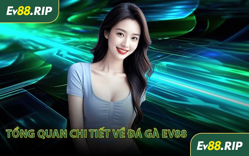 Tổng quan chi tiết về đá gà EV88